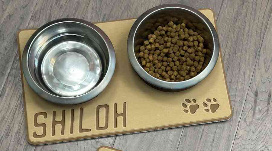 Dog Bowl Foam Pad Holders - Customized