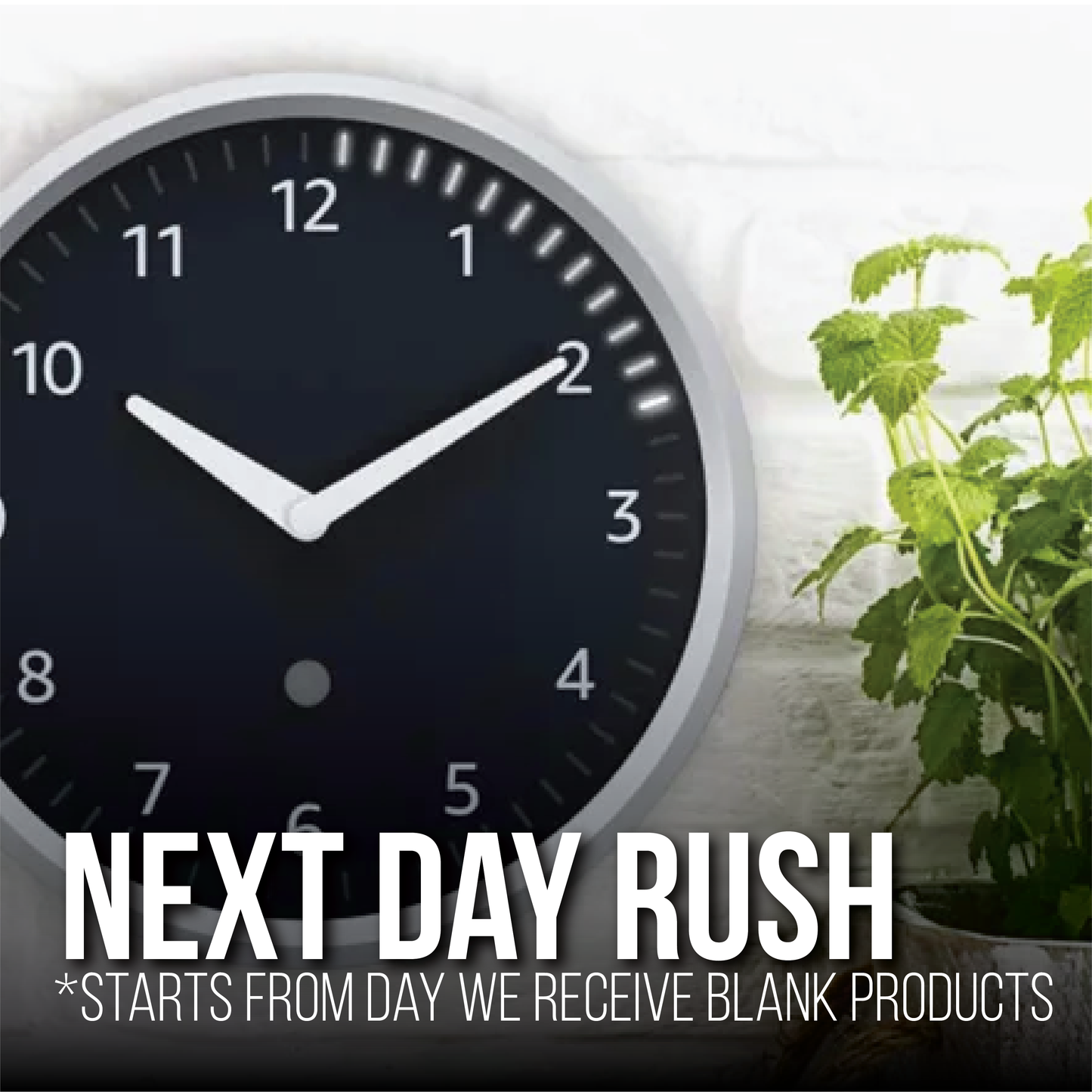 Rush Production Fees