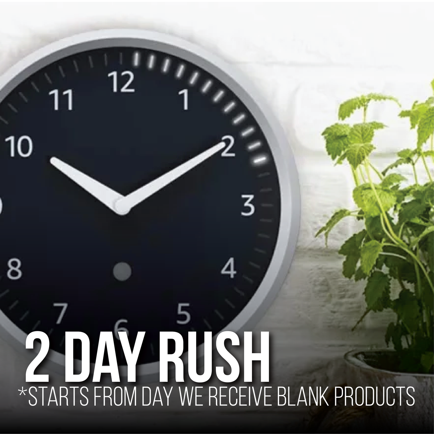 Rush Production Fees