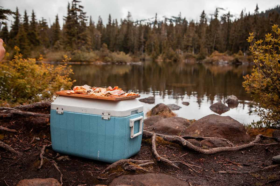 Charcuterie board on top of a cooler by the lake