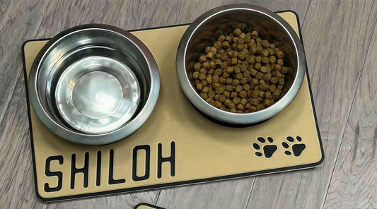 Dog Bowl Foam Pad Holders - Customized