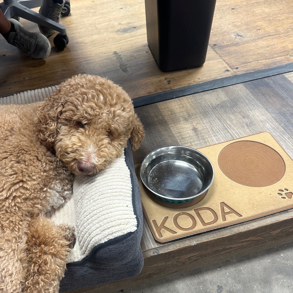 Custom non-slip foam dog bowl mat with a dog beside it