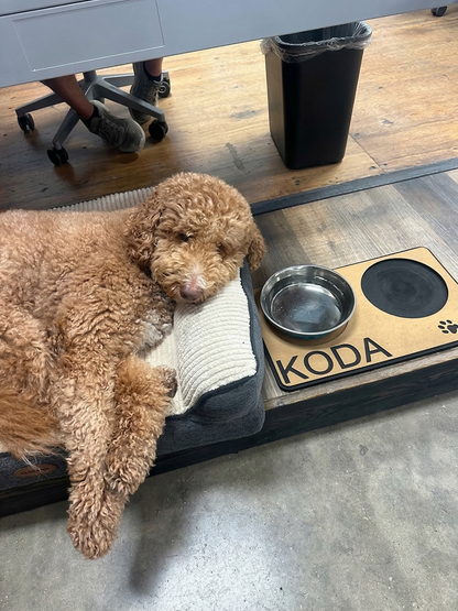 Dog Bowl Foam Pad Holders - Customized